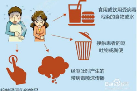 诺如病毒究竟是如何传播的？食物、水源还是人传人？