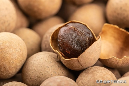 想知道龙眼和桂圆的差别？一篇读懂龙眼与桂圆