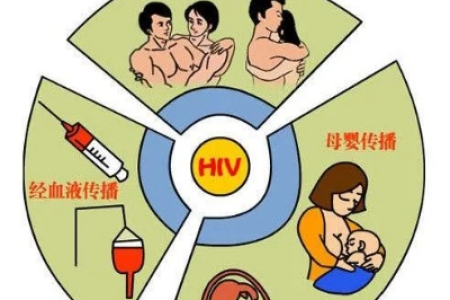 艾滋病传播概率究竟是多少？性接触、血液传播风险分析