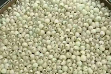 龙眼和桂圆傻傻分不清？这篇告诉你它们的区别！