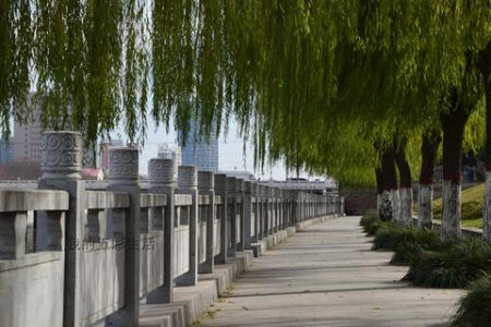 晚饭后多久可以散步？散步时间太长或太短好不好？