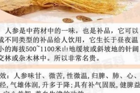 人参怎么吃功效最好？禁忌和作用全面解读