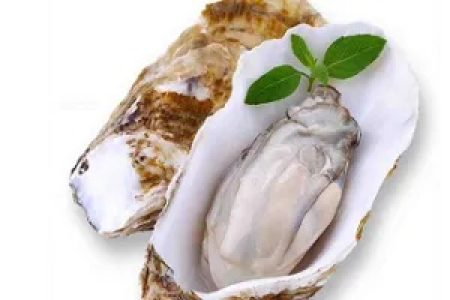 牡蛎怎么吃才有效？功效、禁忌与最佳食用方法详解