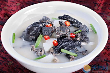 乌鸡的功效与作用是什么？有哪些禁忌？如何正确食用？