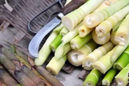 苦笋的功效与作用是什么？食用方法和禁忌有哪些？