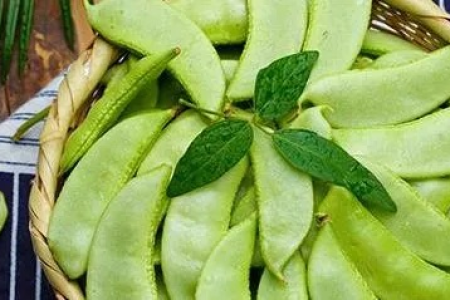 扁豆的营养价值和食用方法：功效作用、禁忌人群全知道！