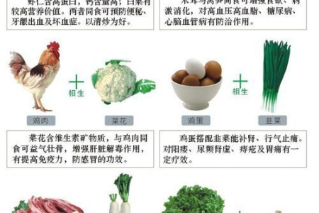 羊肉和什么食物相克？看完这篇你就懂了！