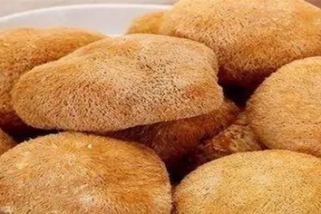 猴头菇的功效与作用：全面解析猴头菇的营养价值及食用方法