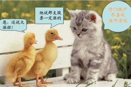 猫咪为什么动作那么敏捷？揭开猫快速反应的神秘面纱！
