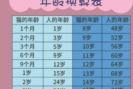 猫咪3岁等于人多少岁？解读猫咪年龄与人类年龄的对应关系
