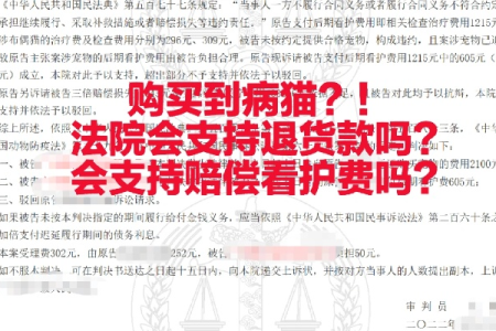 网购病猫如何维权？最全投诉流程及解决方法