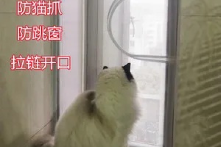 防猫跳楼！养猫必看纱窗安装指南