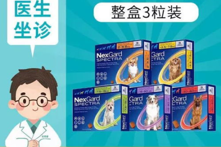 小猫多久打针驱虫？疫苗和驱虫药的最佳时间安排