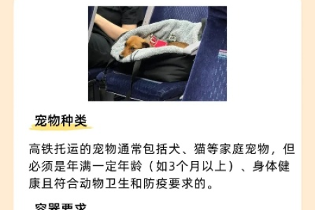 太空舱猫包能带上高铁吗？高铁宠物携带规定详解