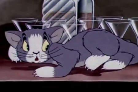猫咪能赶走老鼠吗？养猫驱鼠的真相