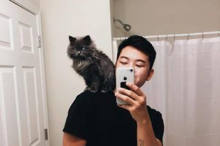 猫的视力真的只有几米远吗？深度解析猫咪视觉！