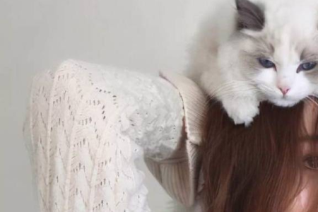 为什么猫咪更黏女生？揭秘猫更喜欢女性的秘密！
