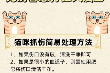 猫咬伤后如何处理？狂犬疫苗要多久打一次？
