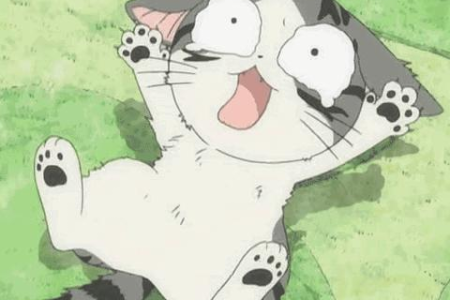 被猫抓出一点点血，需要打狂犬疫苗吗？详细步骤