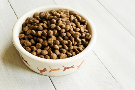 50克猫粮等于多少粒？一次性纸杯能装多少？