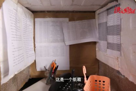 0元打造猫咪豪华别墅，用纸盒箱就能做到！