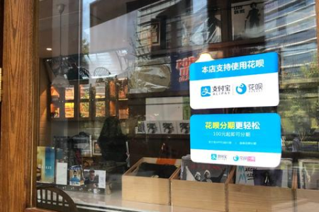 还在为猫粮招蚂蚁烦恼？这些方法帮你解决难题！