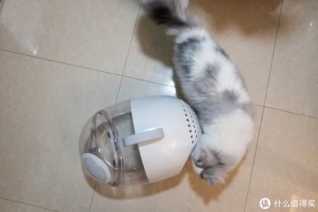 太空包猫安装方法及常见问题解答，快速上手