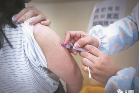 狂犬疫苗：猫咪接种后的副作用及应对方法