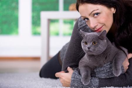 我的英短蓝猫冬天怕冷吗？应该如何预防冻伤？