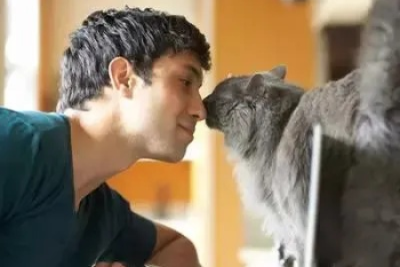 揭秘猫咪喜欢男生的真相：声音、气味和行为的差异
