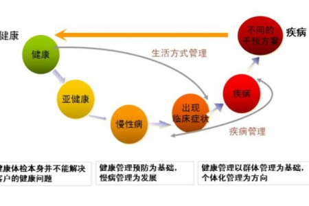 猫舍不提供上门服务？这背后隐藏着哪些猫猫健康风险？