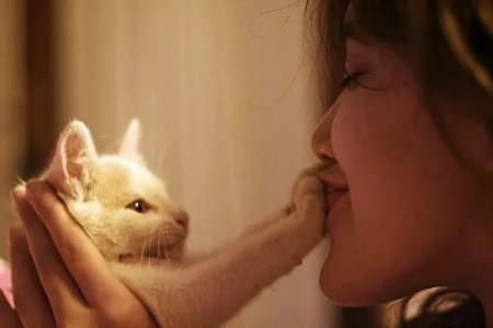 猫咪想杀主人的表现：这些信号你注意到了吗？