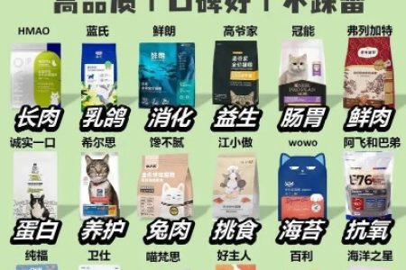 十大最好猫粮推荐榜单，猫咪健康饮食指南