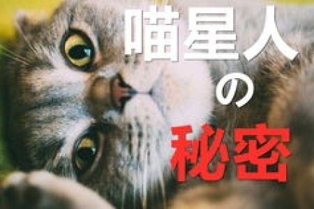 猫咪太挑食会把自己饿死吗？解决猫咪挑食的妙招