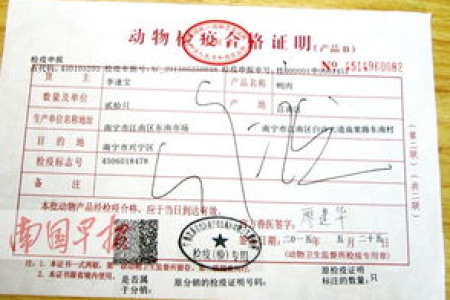 想带猫咪出行？检疫证明办理全攻略都在这里