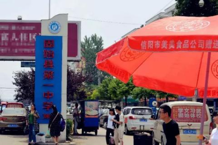 小猫舔塑料袋的古怪行为，背后原因是什么？铲屎官必看！