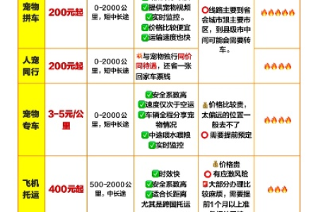 外地猫托运指南：各种方式费用及优缺点对比