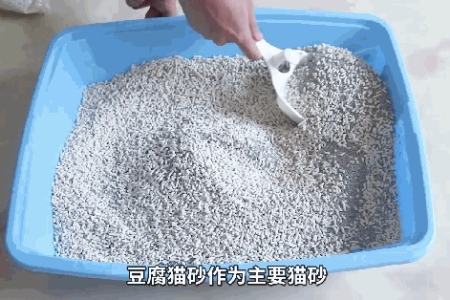 超简单！教你几招自制简易猫砂方法