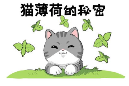 猫咪对猫薄荷的痴迷反应是什么？猫薄荷的奇特作用