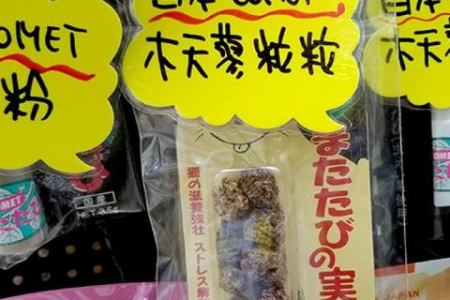 为什么猫闻到猫薄荷就疯狂？猫薄荷的魔力究竟是什么？