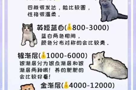 宠物市场英短蓝猫丁香色价格波动大吗？