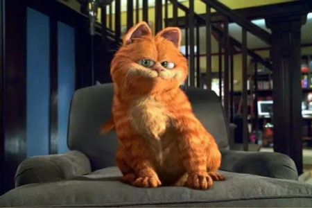 加菲猫粘人到令人窒息？教你如何应对粘人猫咪