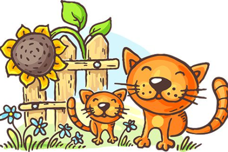 花猫勤洗脸的秘密：清洁、保健，你不知道的那些事！