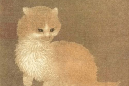 为什么古人称猫为狸奴？狸奴一词背后的文化故事
