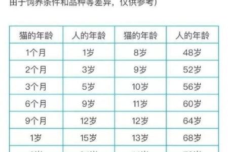 纠结买猫年龄？几个月的猫咪最好养又省心？