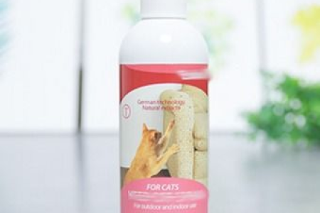 家里猫咪太调皮？风油精驱猫的妙招有用吗？