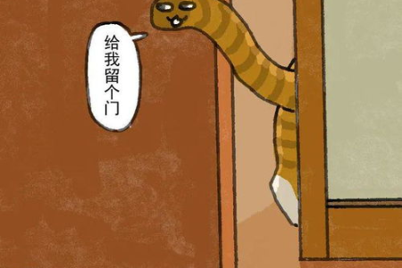 猫咪的尾巴可以拽吗？用力拽尾巴的后果有多严重？