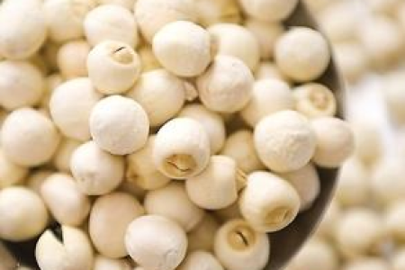 如何查看猫疫苗的保质期？避免注射过期疫苗