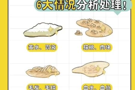 猫怀孕初期呕吐严重吗？如何缓解孕吐