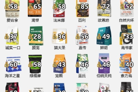 2023年腊肠猫市场价位分析，带你避坑选购好猫